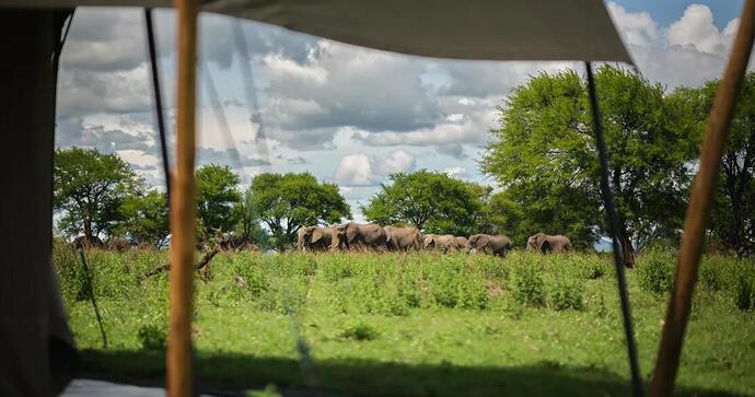 African Eco Expedition