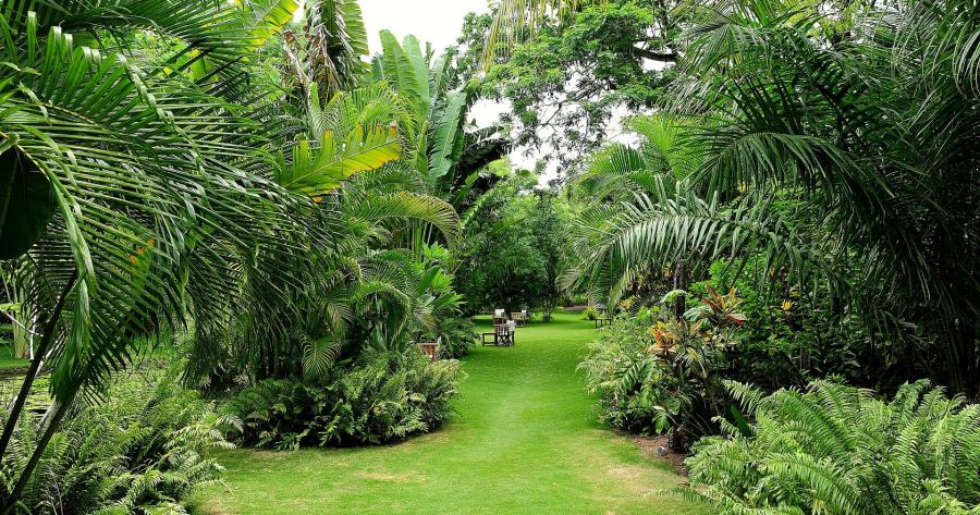 Anjajavy Le Lodge