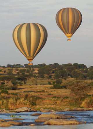 safari och zanzibar