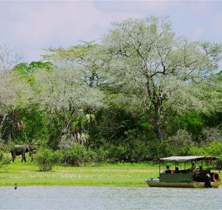 Safari Nyerere National Park & Mafia Island
