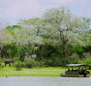 Safari Nyerere National Park & Zanzibar