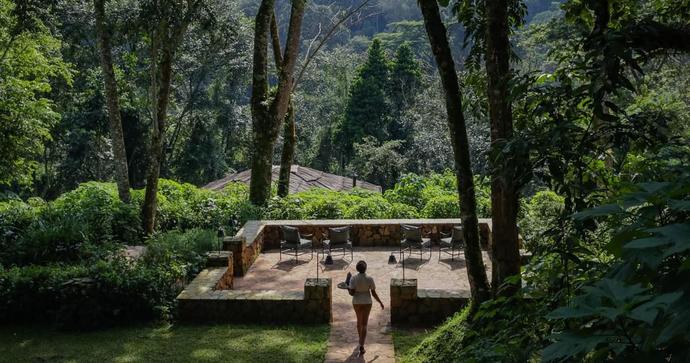 Bwindi Lodge