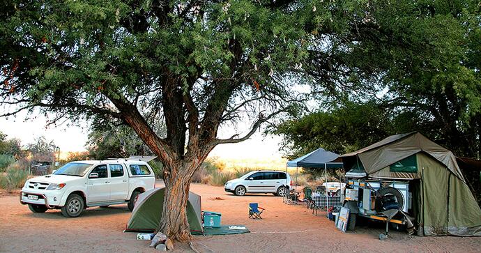 Canyon Road Campsite