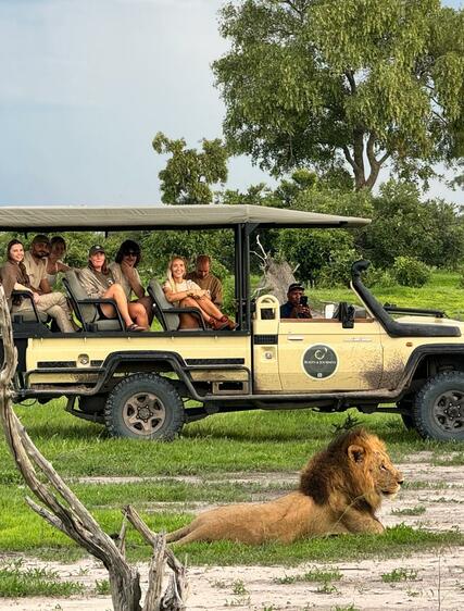 12 tips för att hitta bästa researrangören för safari