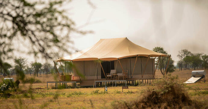 Dove Nest Serengeti