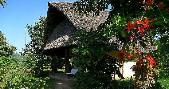 Eco Shamba Kilole Lodge