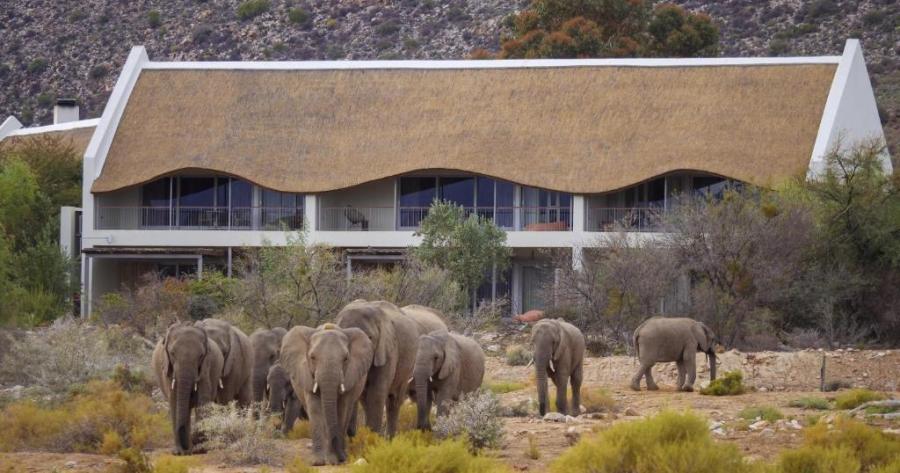 Gondwana Family Lodge