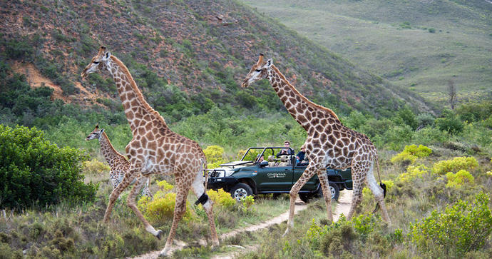 Gondwana Tented Eco Camp