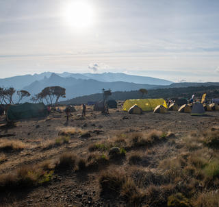 Machamerutten med svensk reseledare, Safari och Zanzibar