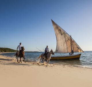Safari & Moçambique