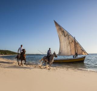 Safari & Moçambique