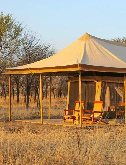Familjen Sundberg: Safari Manyara, Serengeti & Ngorongoro