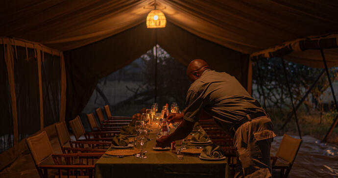 Picknick lunch Intimate Zebra