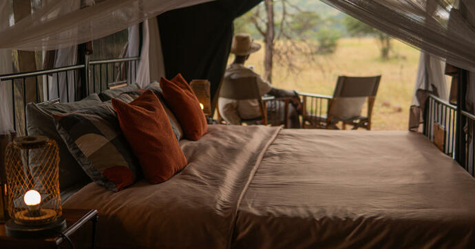 Trippel Tält Intimate Zebra