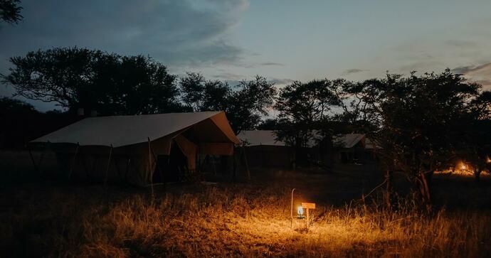 Dubbeltält Intimate Zebra