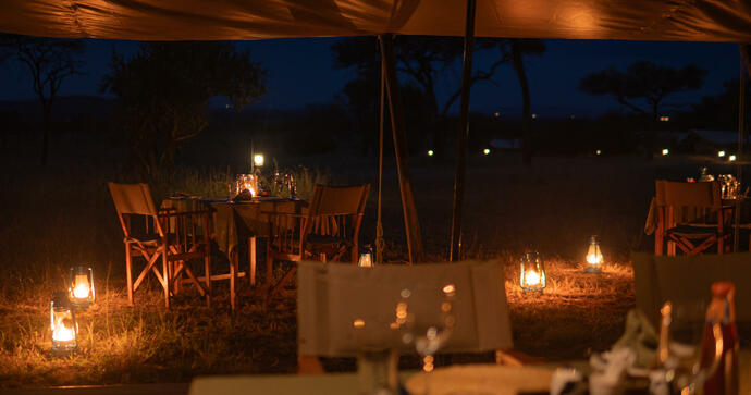 Migrations Crossing Intimate Zebra