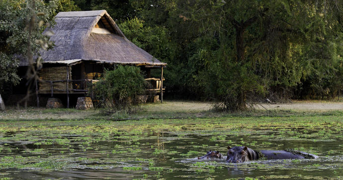 Mfuwe Lodge