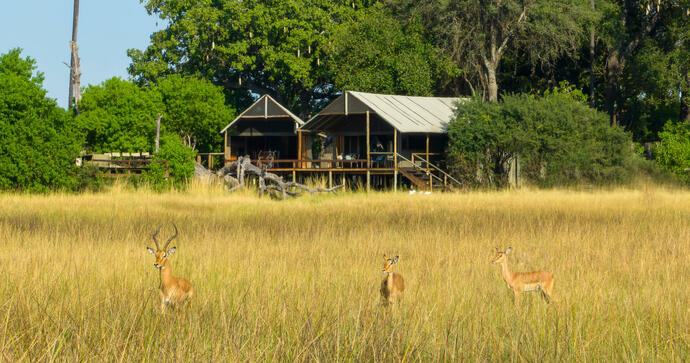 Mokolowane Camp