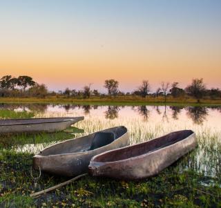Expedition Botswana