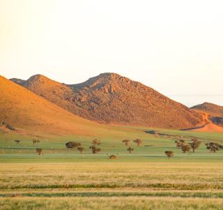 Den stora Namibiaresan