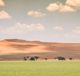 Kapstaden & Namibia