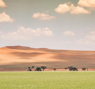 Kapstaden & Namibia