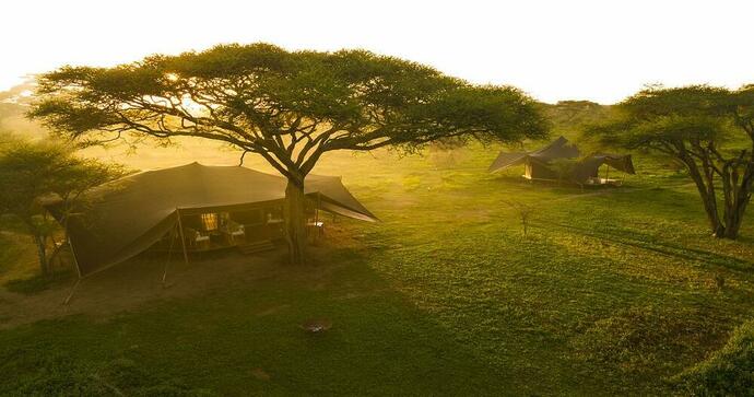 Nyuki Migration Camp