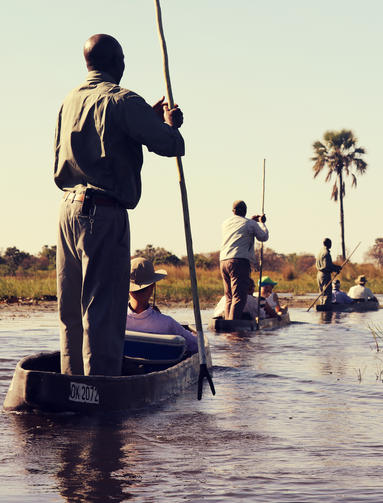 Expedition Botswana