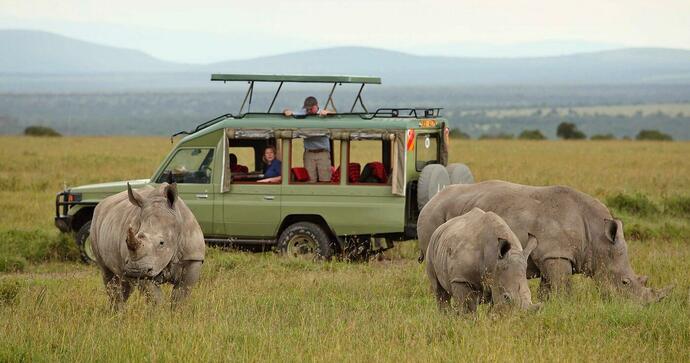 Ol Pejeta Bush Camp