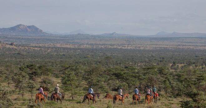 Borana Lodge