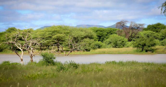 Otjiwa Safari Lodge