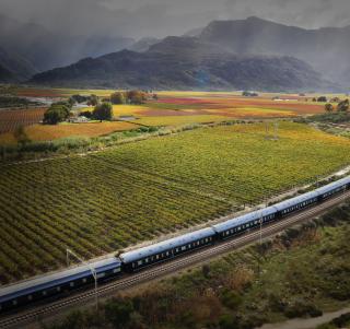 Rovos Rail - Southern Cross till Victoriafallen