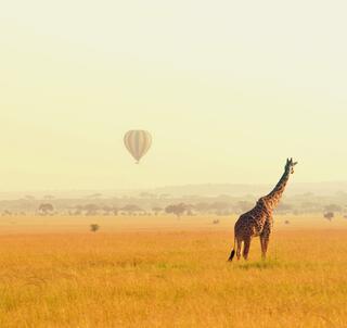 Den stora Kenyaresan