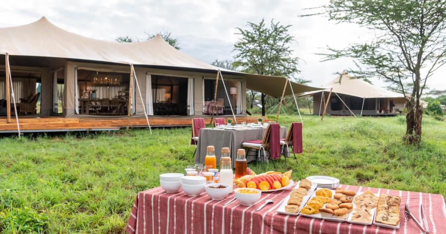 Serengeti Acacia Bliss