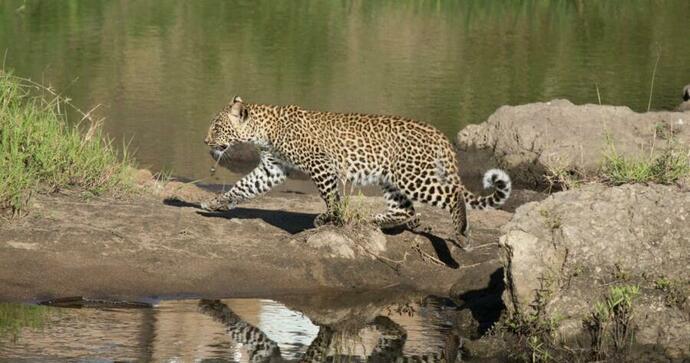 Serengeti North Wilderness Camp