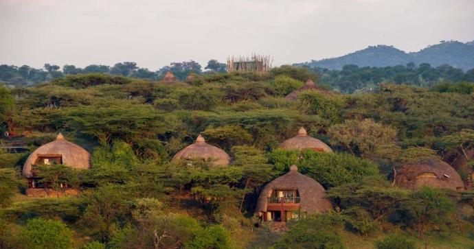  Serengeti Serena Safari Lodge