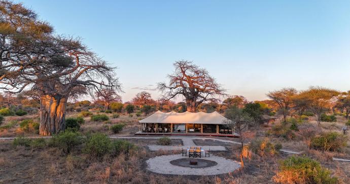 Tarangire Greenland