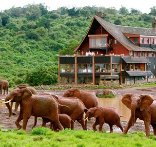 Aberdare, Lake Naivasha & Masai Mara