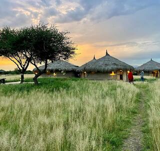 Massajland & safari