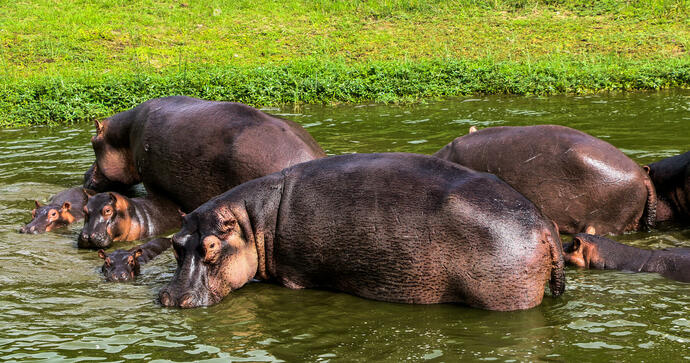 Twin Lakes Safari Lodge