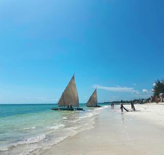 Julen 2025 Klassisk Safari Kenya & Zanzibar