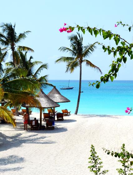 Safari i Tanzania och Zanzibar – så kombinerar du dem