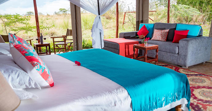 Zebra Plains Mara Camp