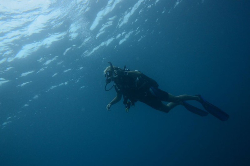 Dykning i havet utanför Zanzibar