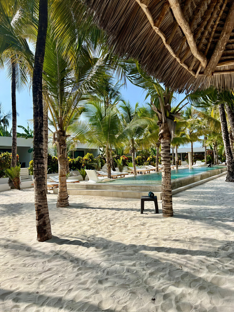 Pool p&aring; The Oasis Residence