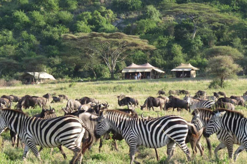 Undvik transporter f&ouml;r att f&aring; ut mest av din safariresa