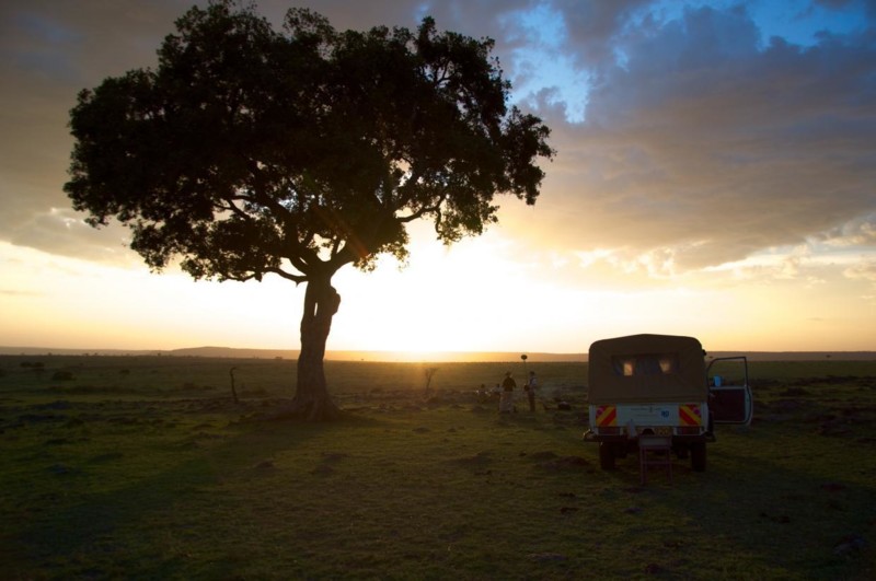 Safari i Afrika