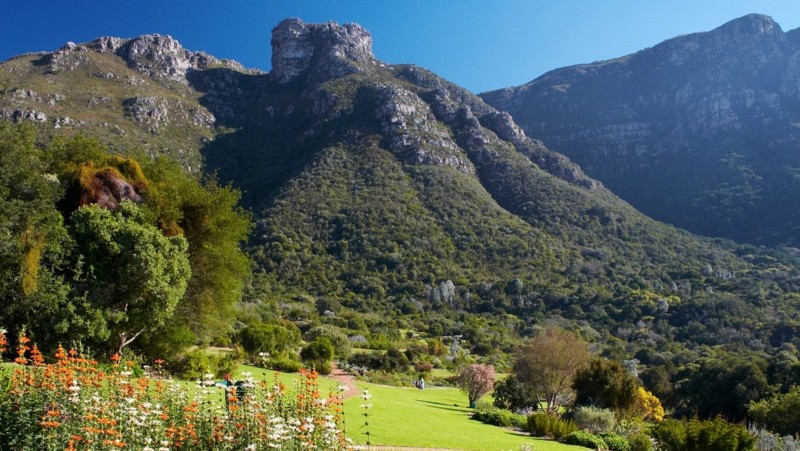 Kirstenbosch botaniska trädgård