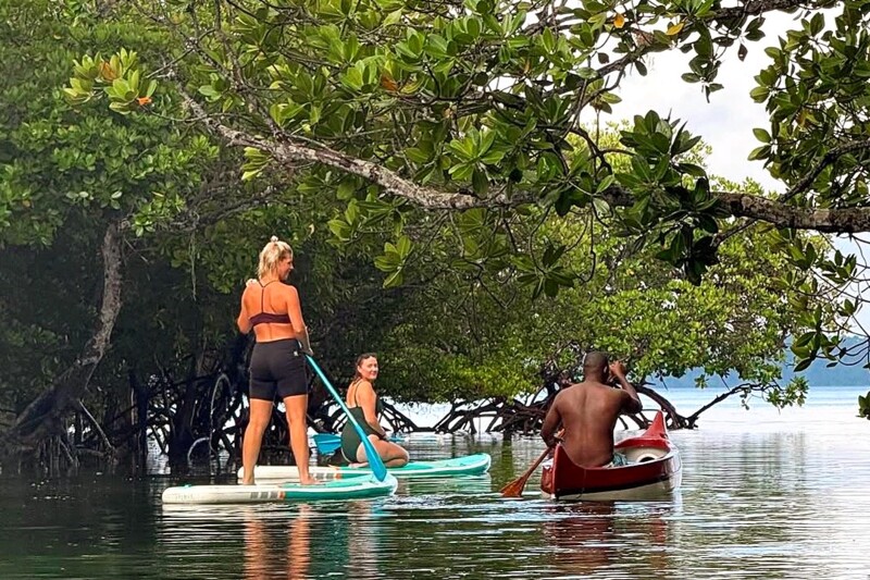 SUP i mangroveskogen i Mida Creek