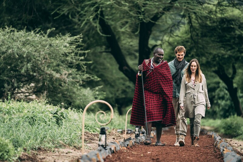 Vad kostar en safari i Tanzania?